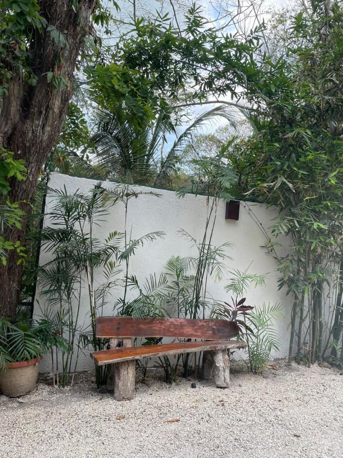 Hotel Diosa Del Agua バカラル エクステリア 写真